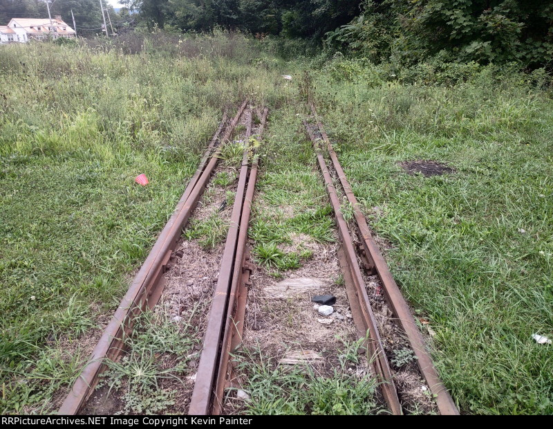 Dual gauge track